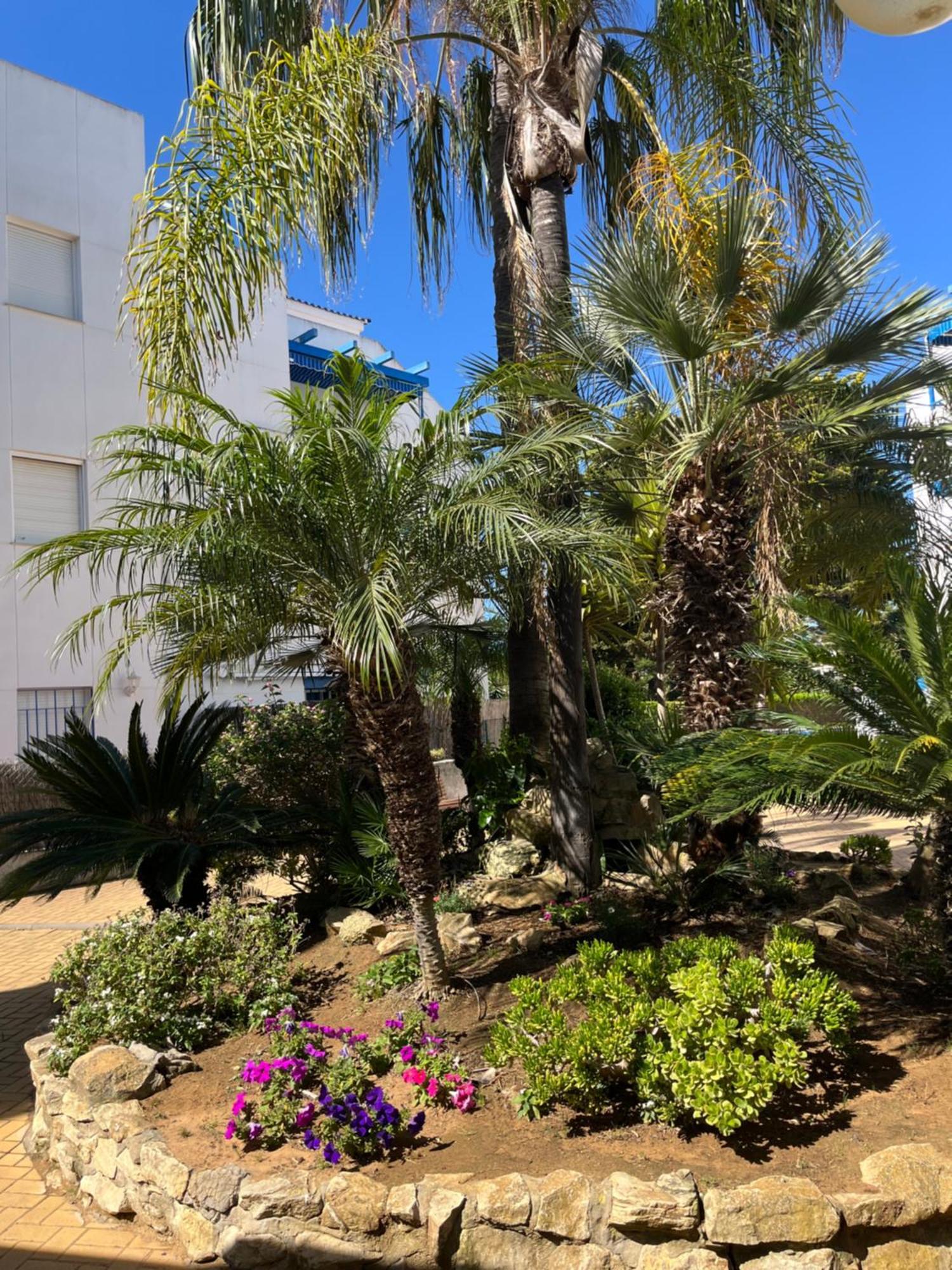 Apartamento En Costa Ballena, Urb. Playa Ballena Cadiz Exterior photo
